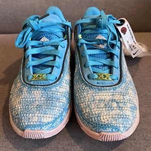 COPY - Nike lebron 20 allstar